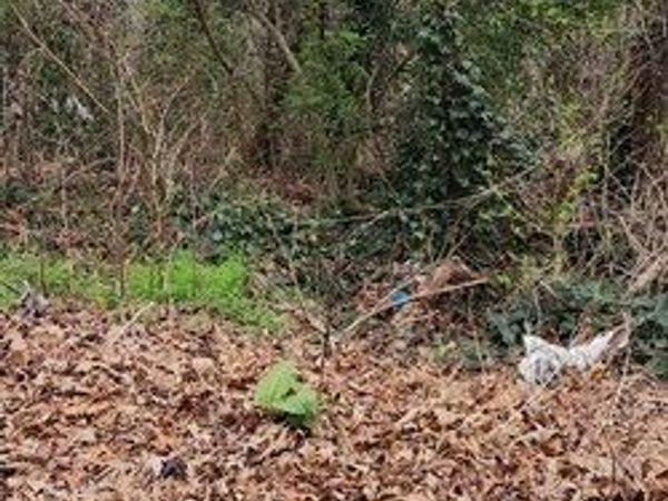 605 Warren Avenue, Scottdale, GA 30079