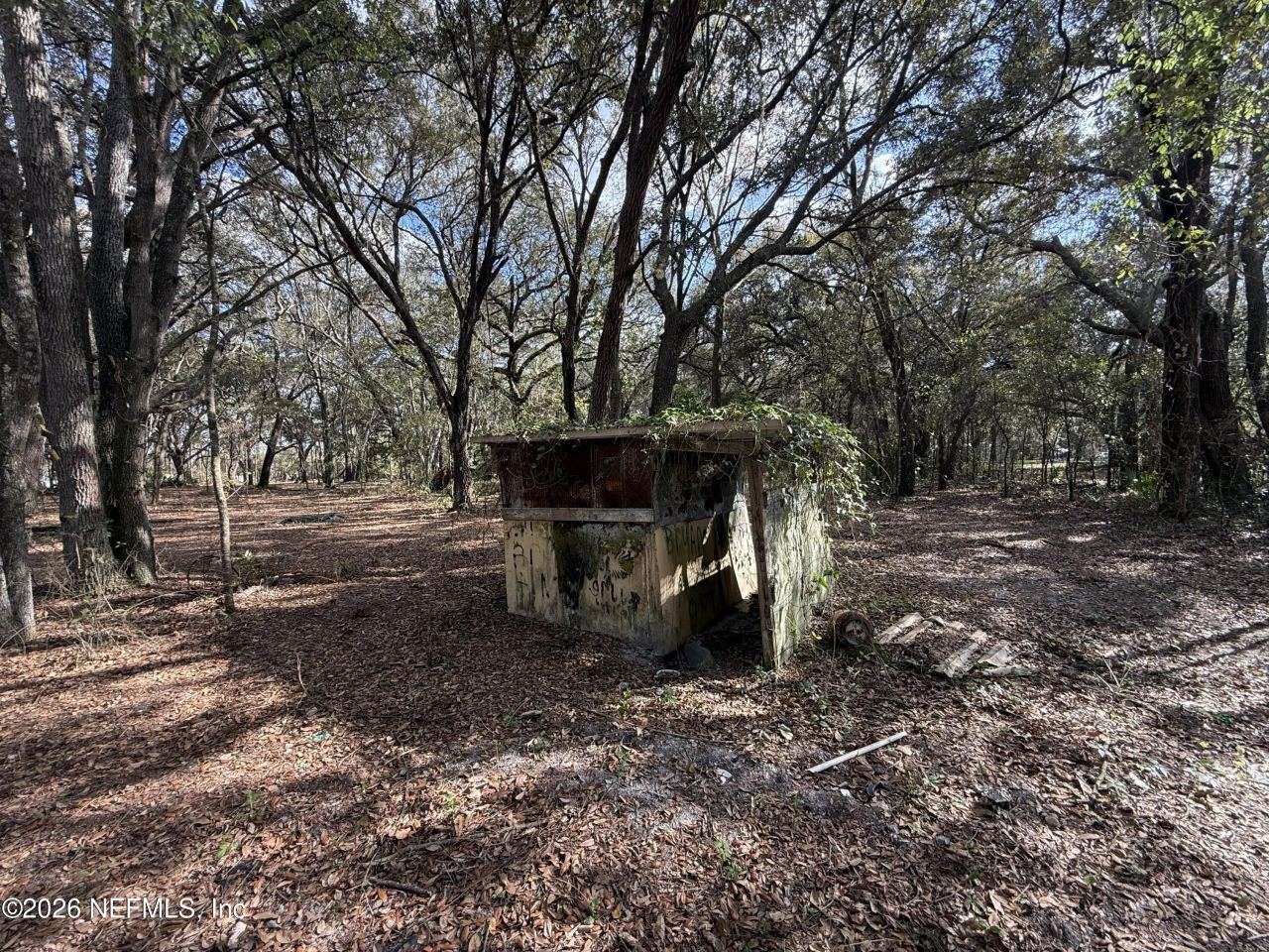 9094 SE 50th Avenue, Hampton, FL 32044 Photo