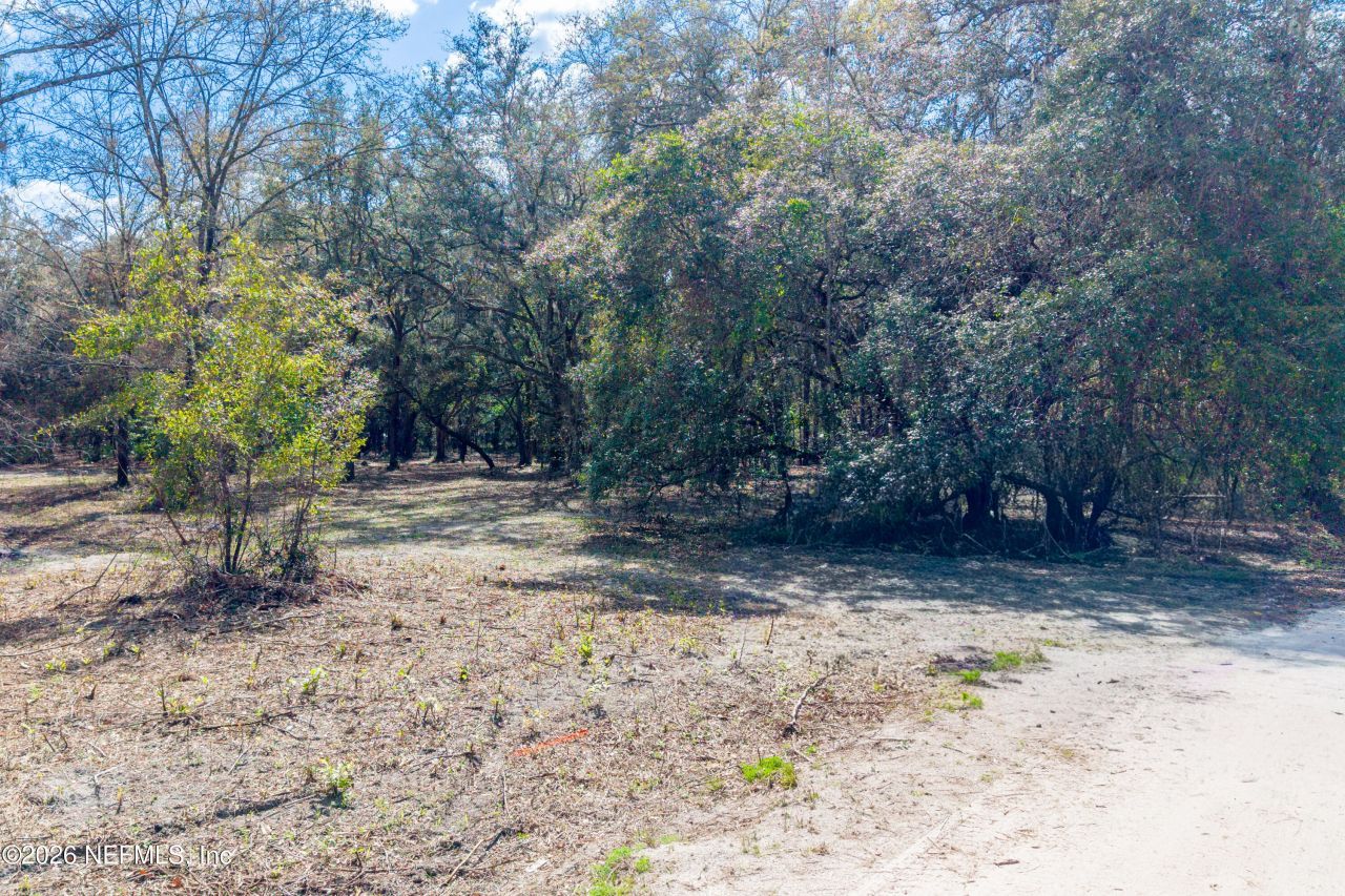 9094 SE 50th Avenue, Hampton, FL 32044 Photo