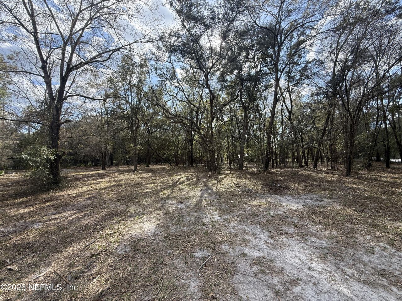 9094 SE 50th Avenue, Hampton, FL 32044 Photo