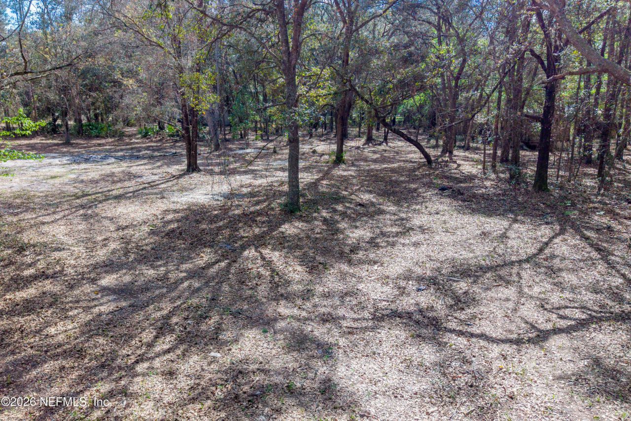 9094 SE 50th Avenue, Hampton, FL 32044 Photo