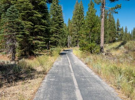 1685 Arapahoe St, South Lake Tahoe, CA 96150 Photo