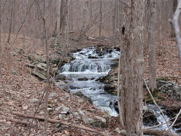 19 S Cross Road , Staatsburg, NY 12580