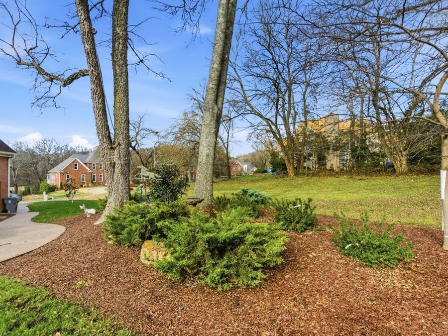 Property Image 73