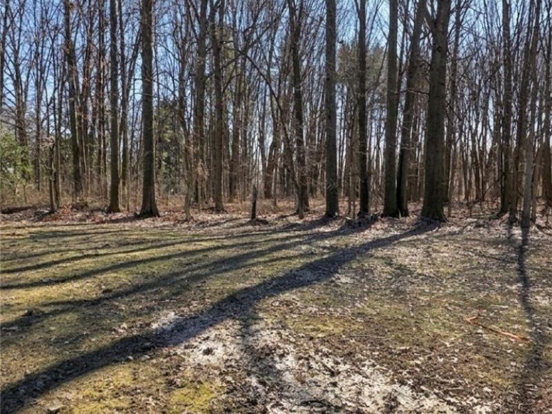 234 Oakwood Street, Elyria, OH 44035 Photo 25