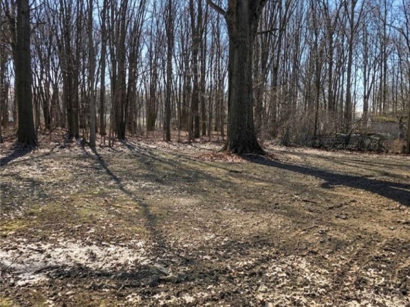 234 Oakwood Street, Elyria, OH 44035 Photo 26