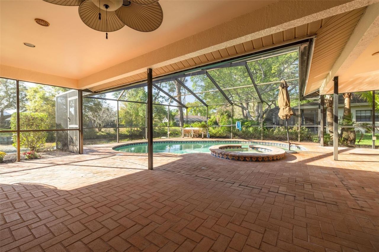 470 Hickorynut Avenue, Oldsmar, FL 34677 Photo
