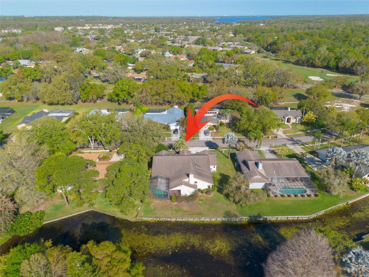 470 Hickorynut Avenue, Oldsmar, FL 34677 Photo