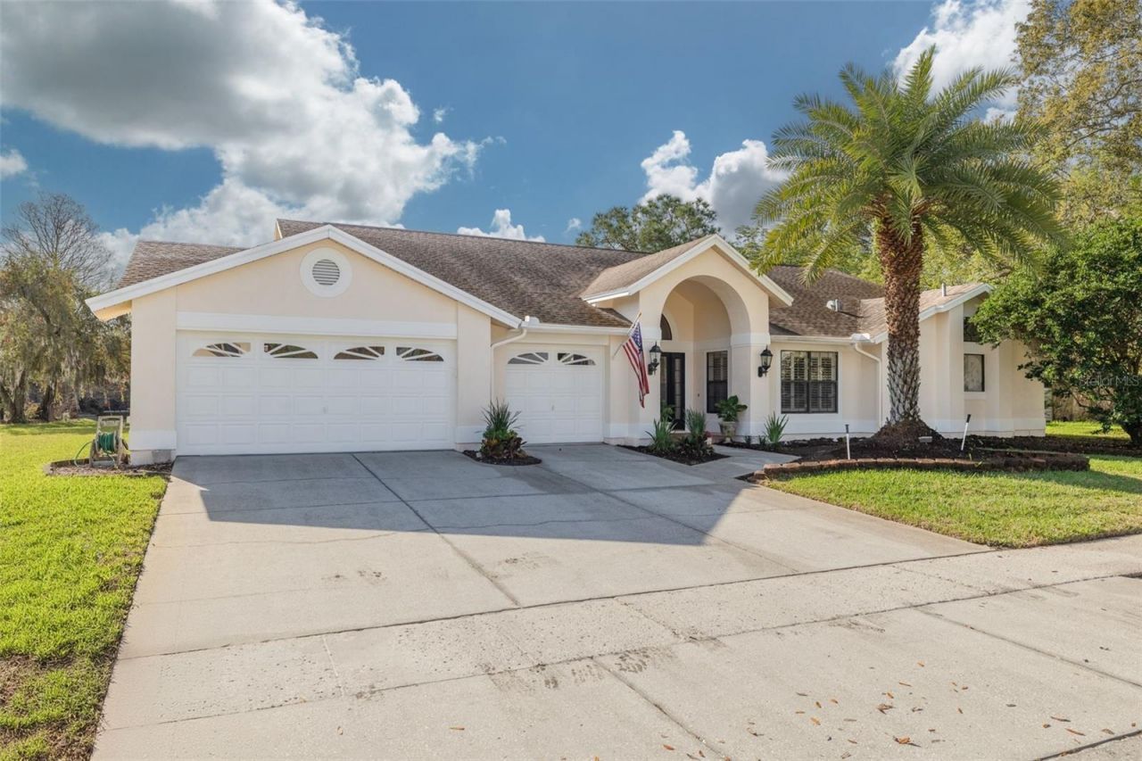 470 Hickorynut Avenue, Oldsmar, FL 34677 Photo