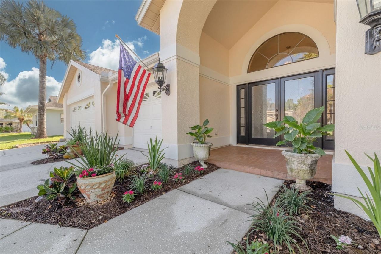 470 Hickorynut Avenue, Oldsmar, FL 34677 Photo