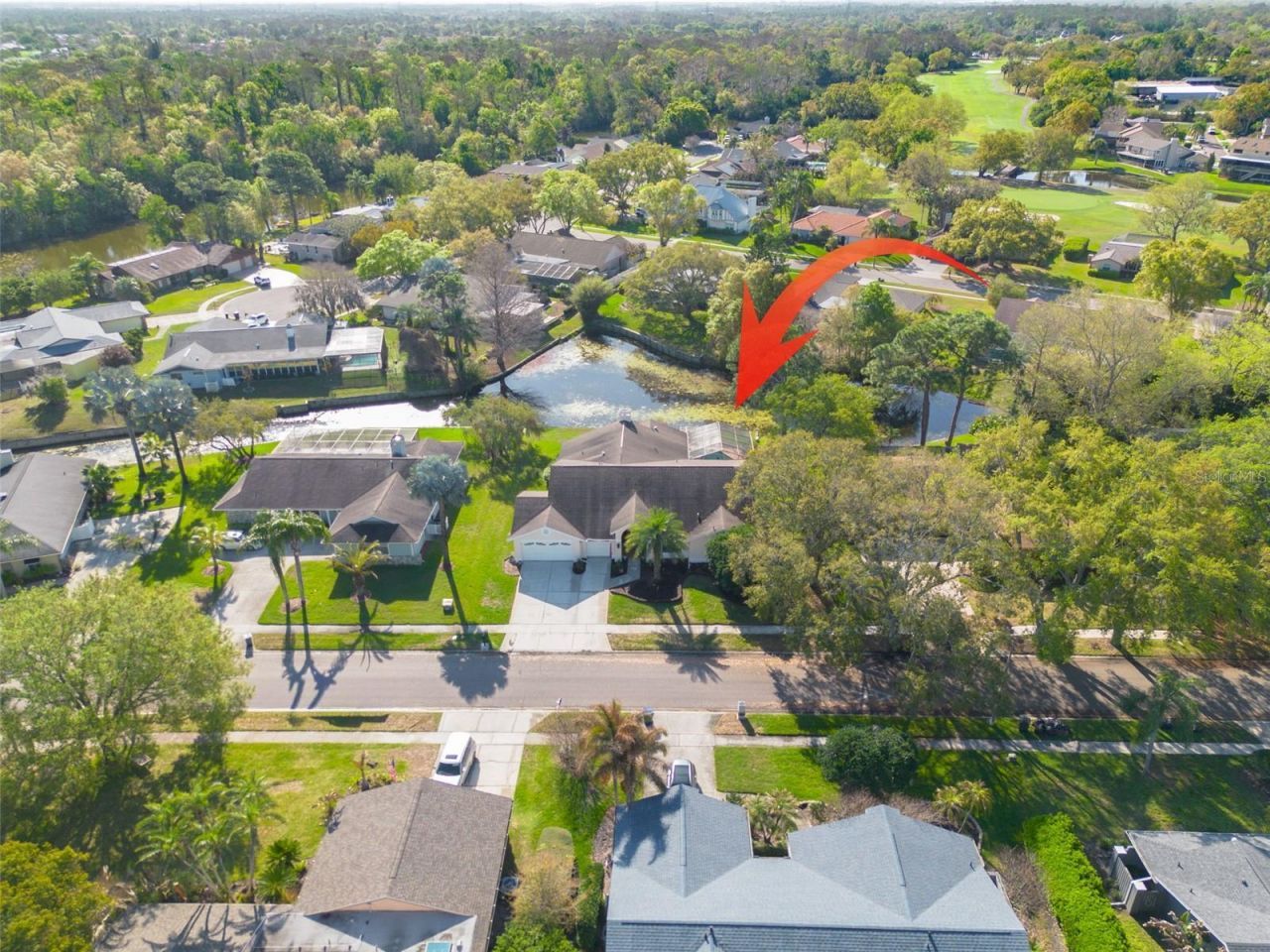 470 Hickorynut Avenue, Oldsmar, FL 34677 Photo