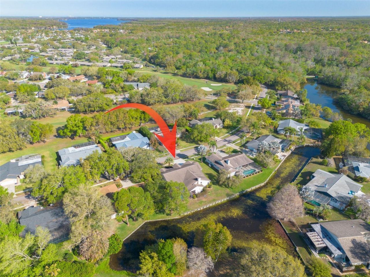 470 Hickorynut Avenue, Oldsmar, FL 34677 Photo