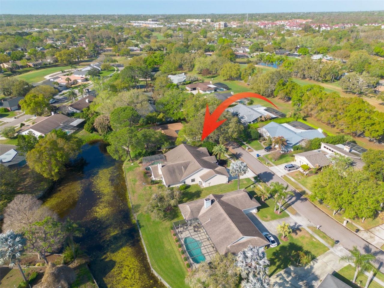 470 Hickorynut Avenue, Oldsmar, FL 34677 Photo