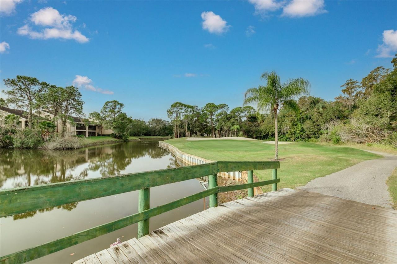 470 Hickorynut Avenue, Oldsmar, FL 34677 Photo