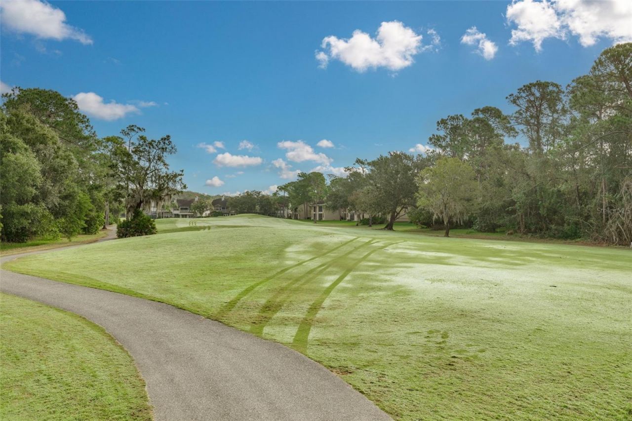 470 Hickorynut Avenue, Oldsmar, FL 34677 Photo