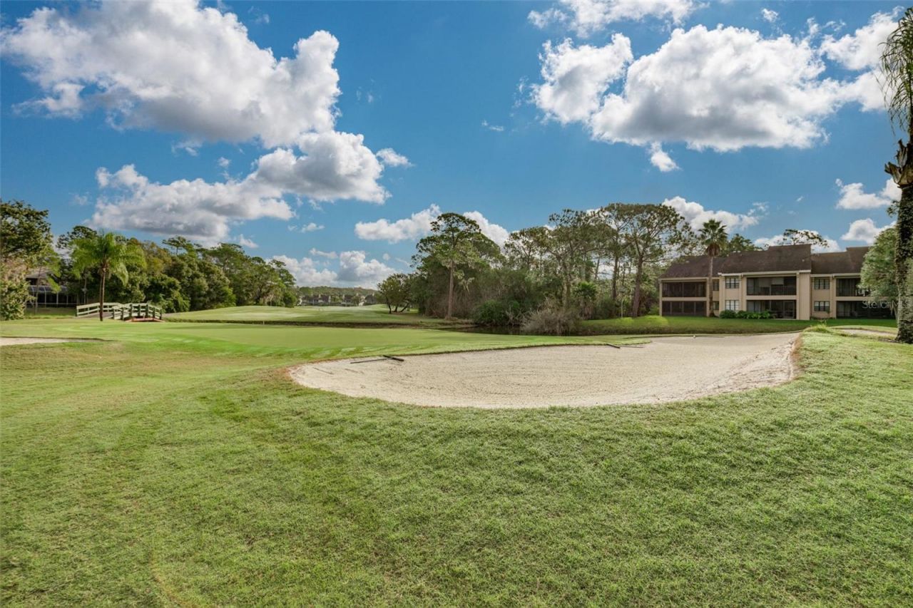470 Hickorynut Avenue, Oldsmar, FL 34677 Photo