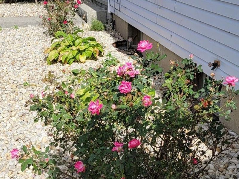 1727 E McPherson Highway, Clyde, OH 43410 Photo 40