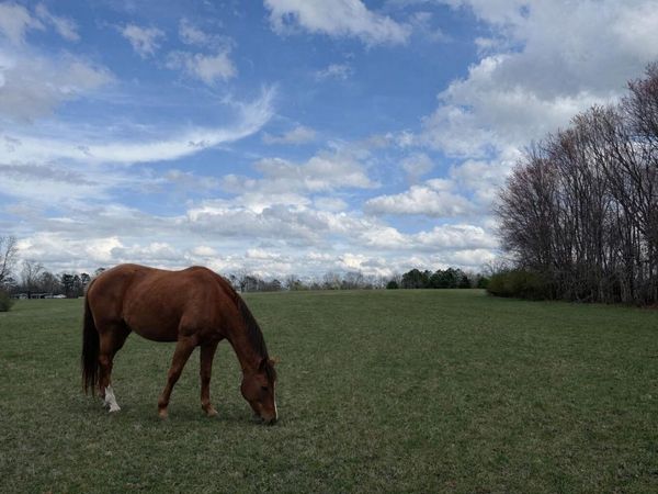 0 Alabama Highway, Flat Rock, AL 35966