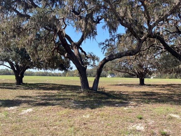 TBD NE 56TH COURT , ANTHONY, FL 32617