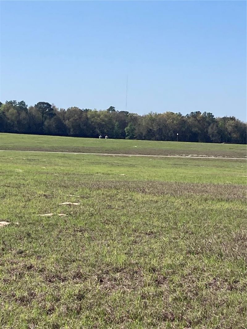 Tbd NE 56th Court, Anthony, FL 32617 Photo