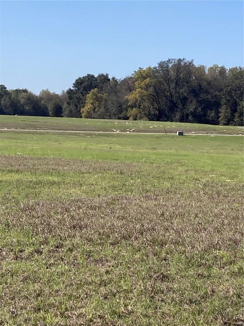 Tbd NE 56th Court, Anthony, FL 32617 Photo