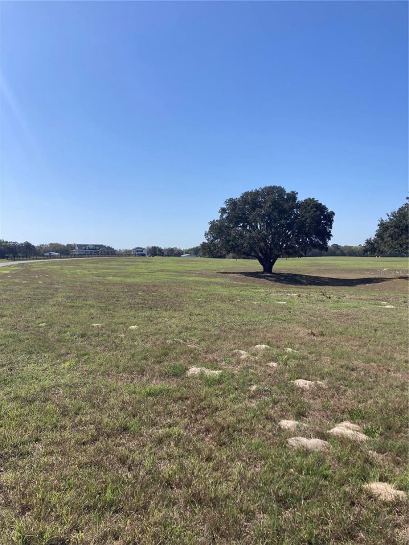 Tbd NE 56th Court, Anthony, FL 32617 Photo