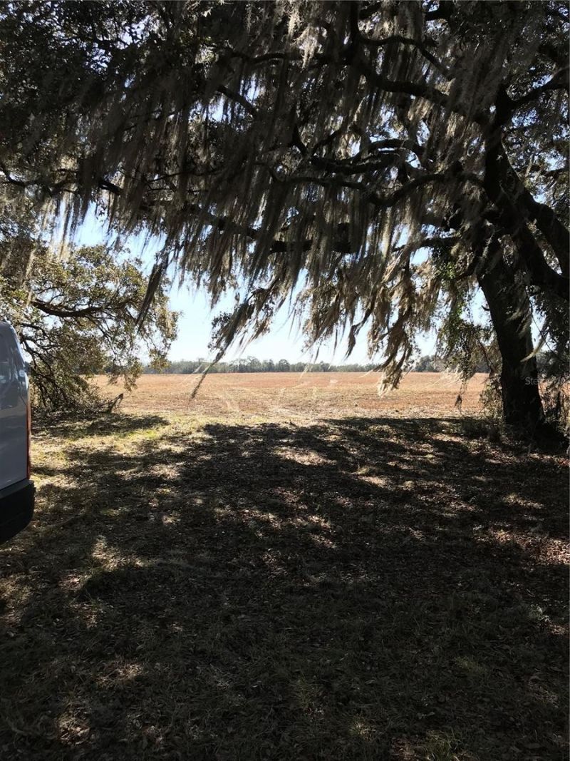 Tbd NE 56th Court, Anthony, FL 32617 Photo