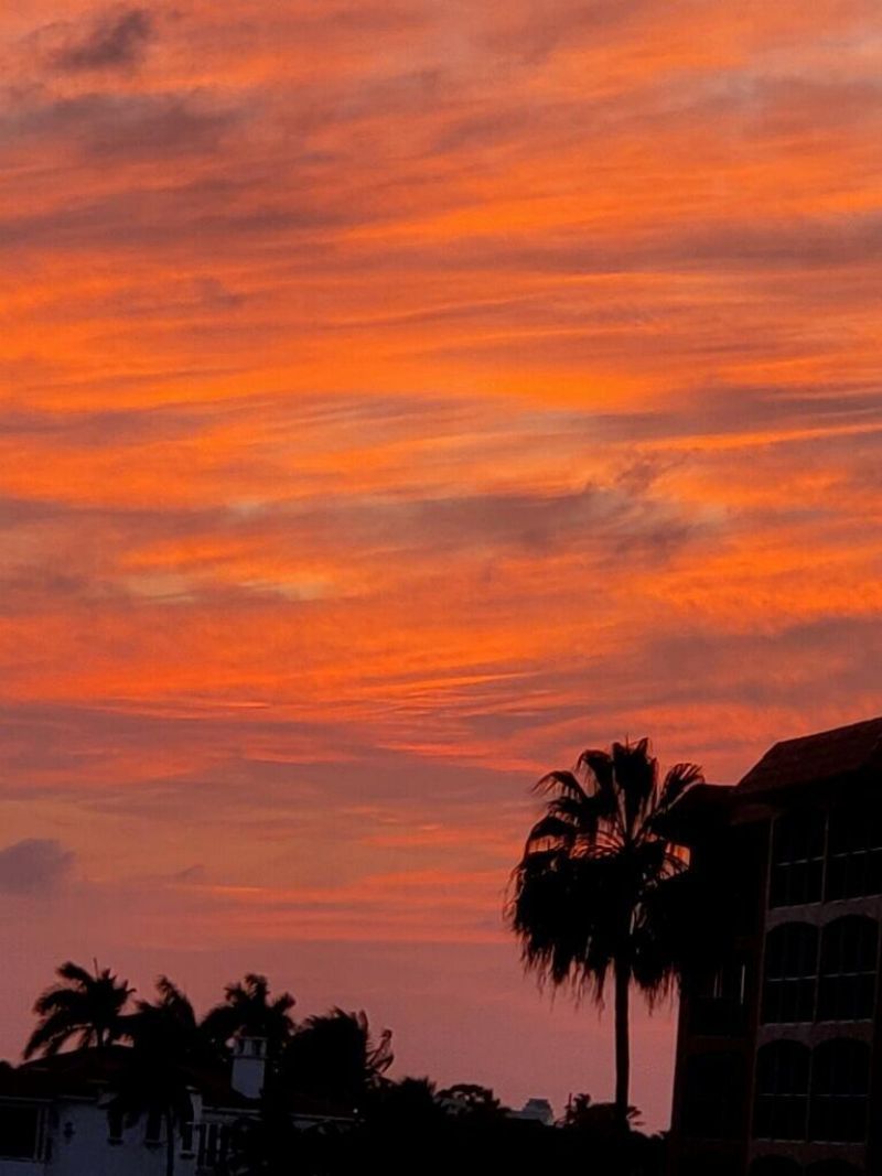 2871 N N Ocean Blvd, Unit M226, Boca Raton, FL 33431 Photo