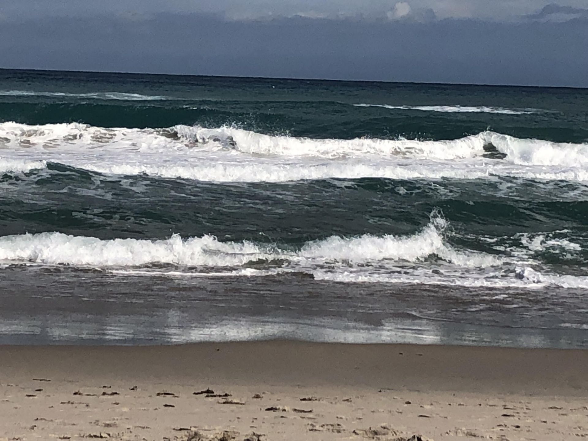 2871 N N Ocean Blvd, Unit M226, Boca Raton, FL 33431 Photo