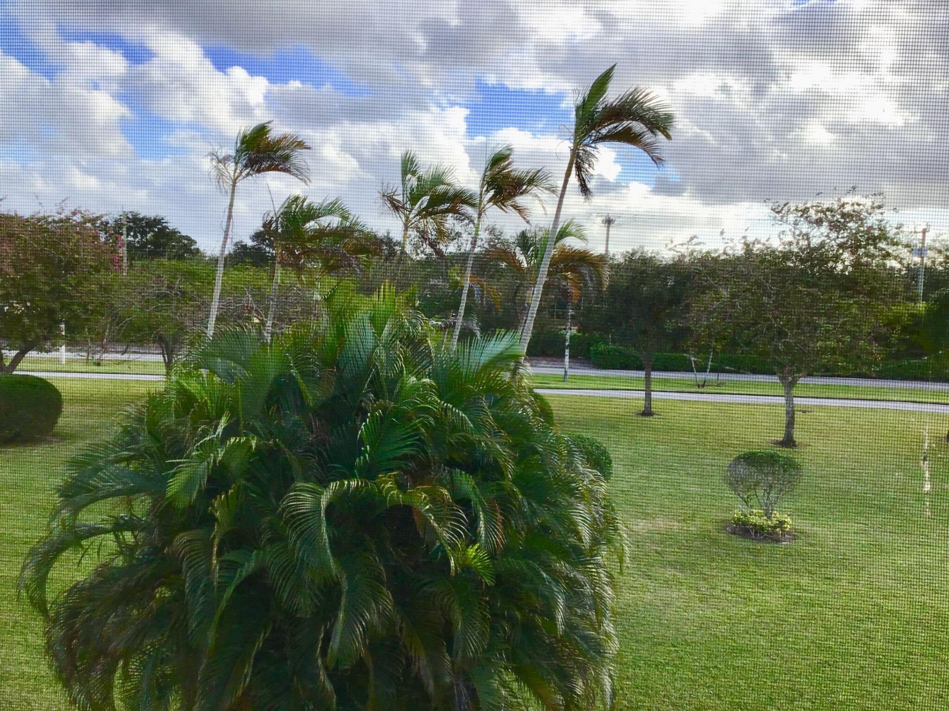 84 Brighton B, Boca Raton, FL 33434 Photo