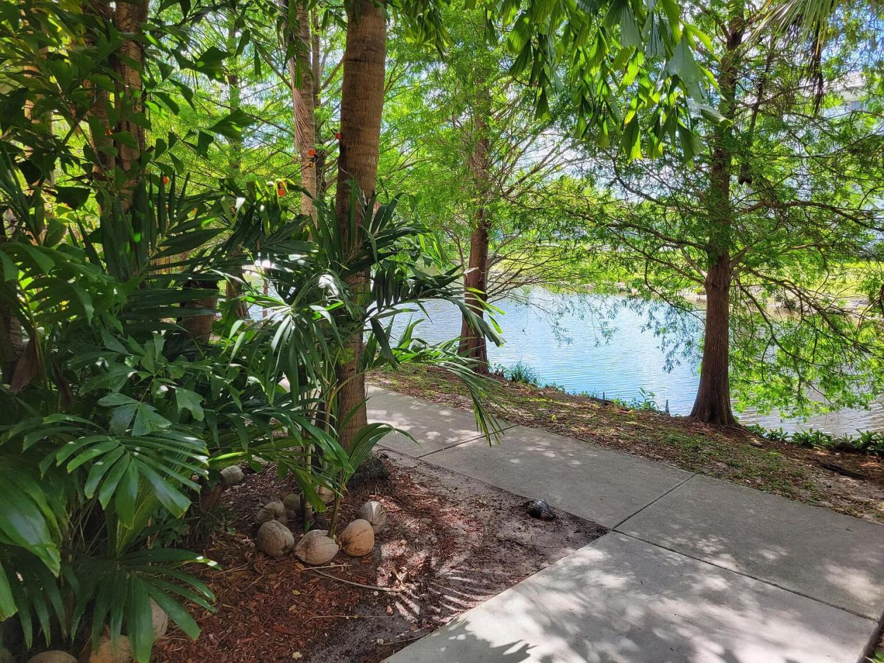 751 N Pine Island Road, Unit 205, Plantation, FL 33324 Photo