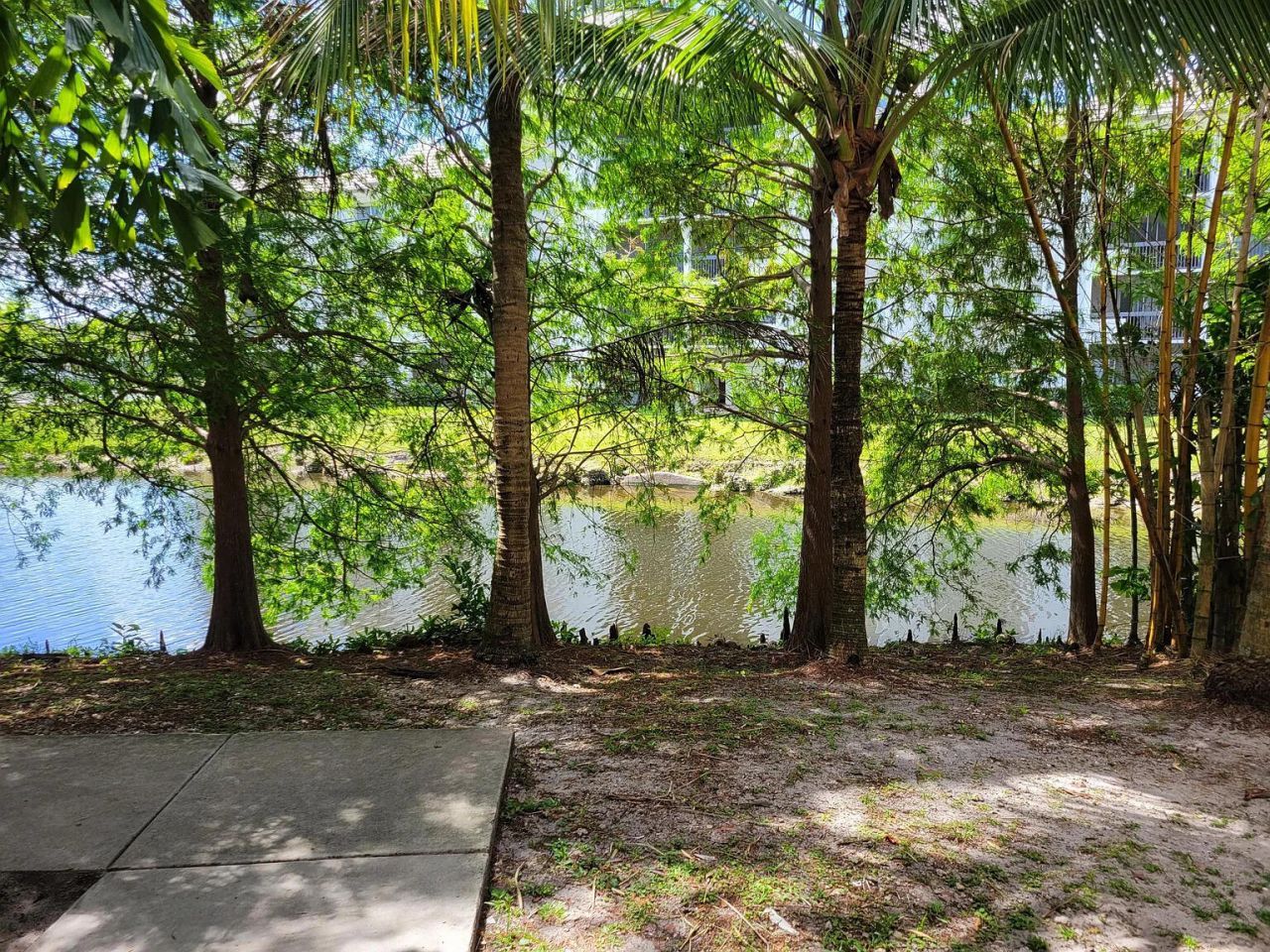 751 N Pine Island Road, Unit 205, Plantation, FL 33324 Photo