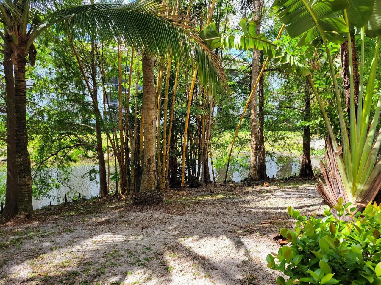 751 N Pine Island Road, Unit 205, Plantation, FL 33324 Photo