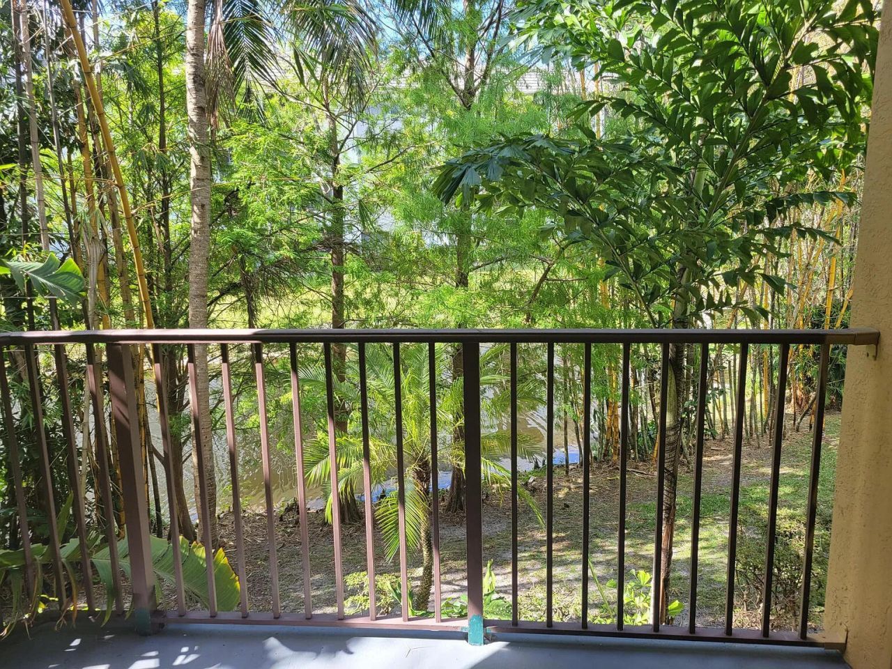 751 N Pine Island Road, Unit 205, Plantation, FL 33324 Photo