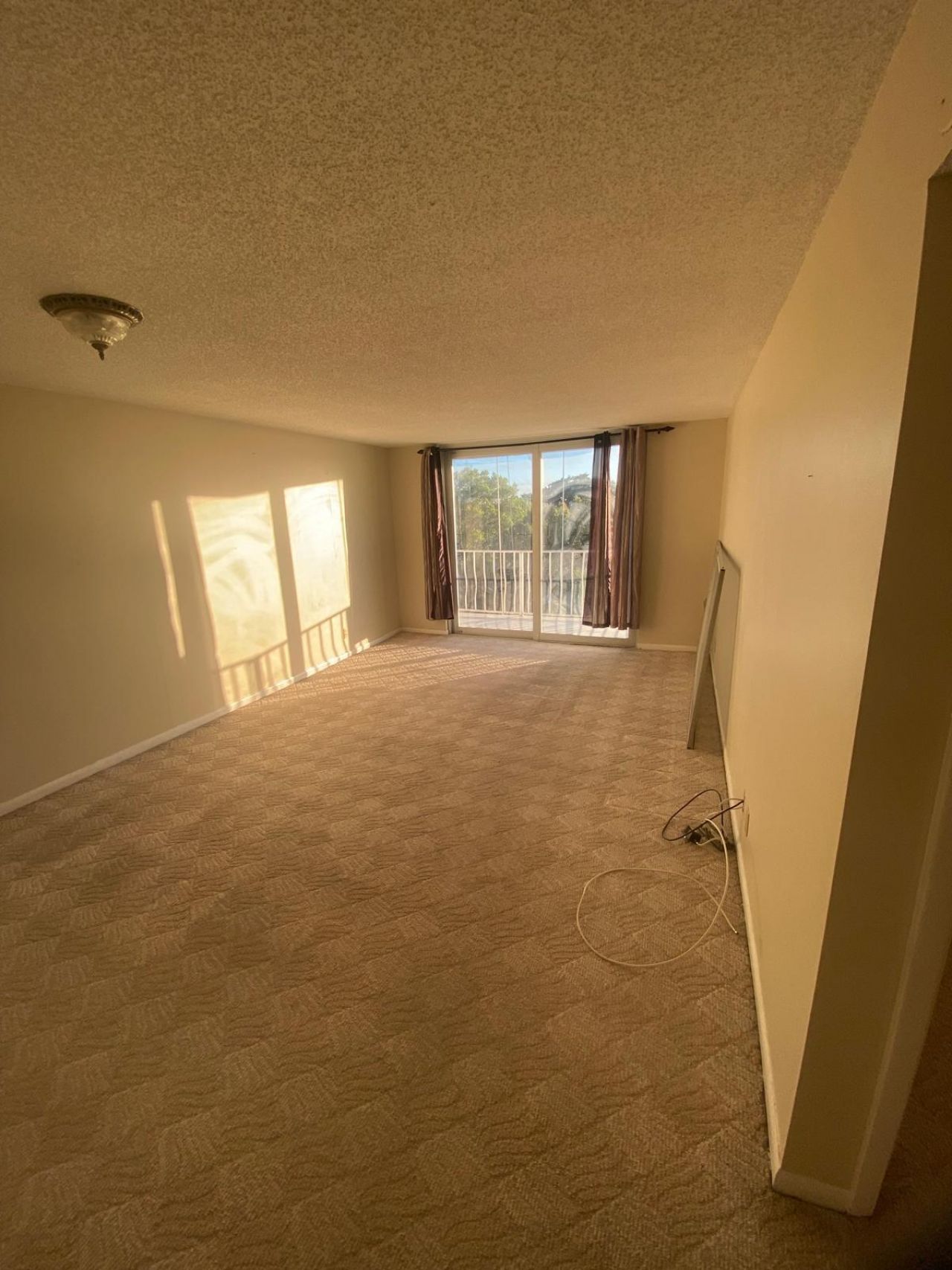 480 Executive Center Drive, West Palm Beach, FL 33401 Photo