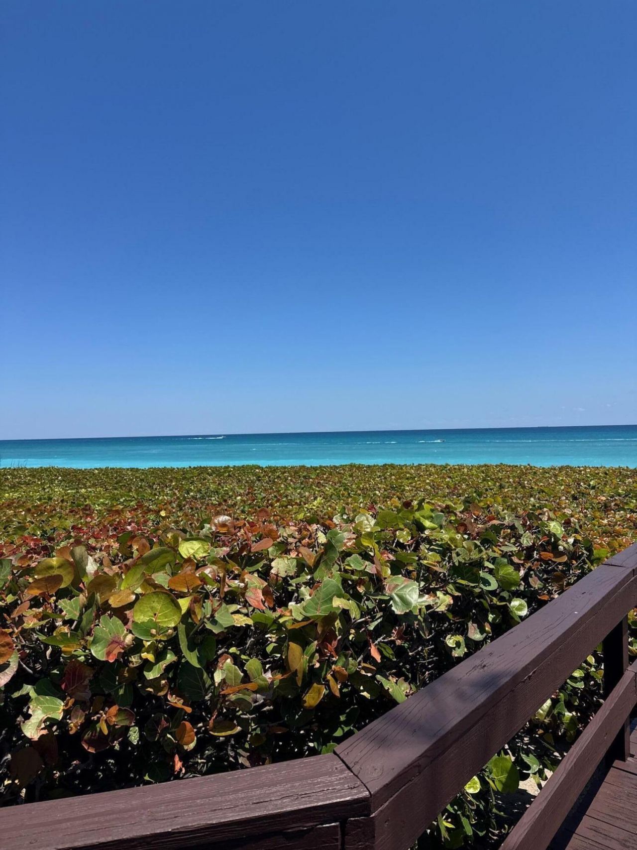 170 Celestial Way, Unit 3-2, Juno Beach, FL 33408 Photo