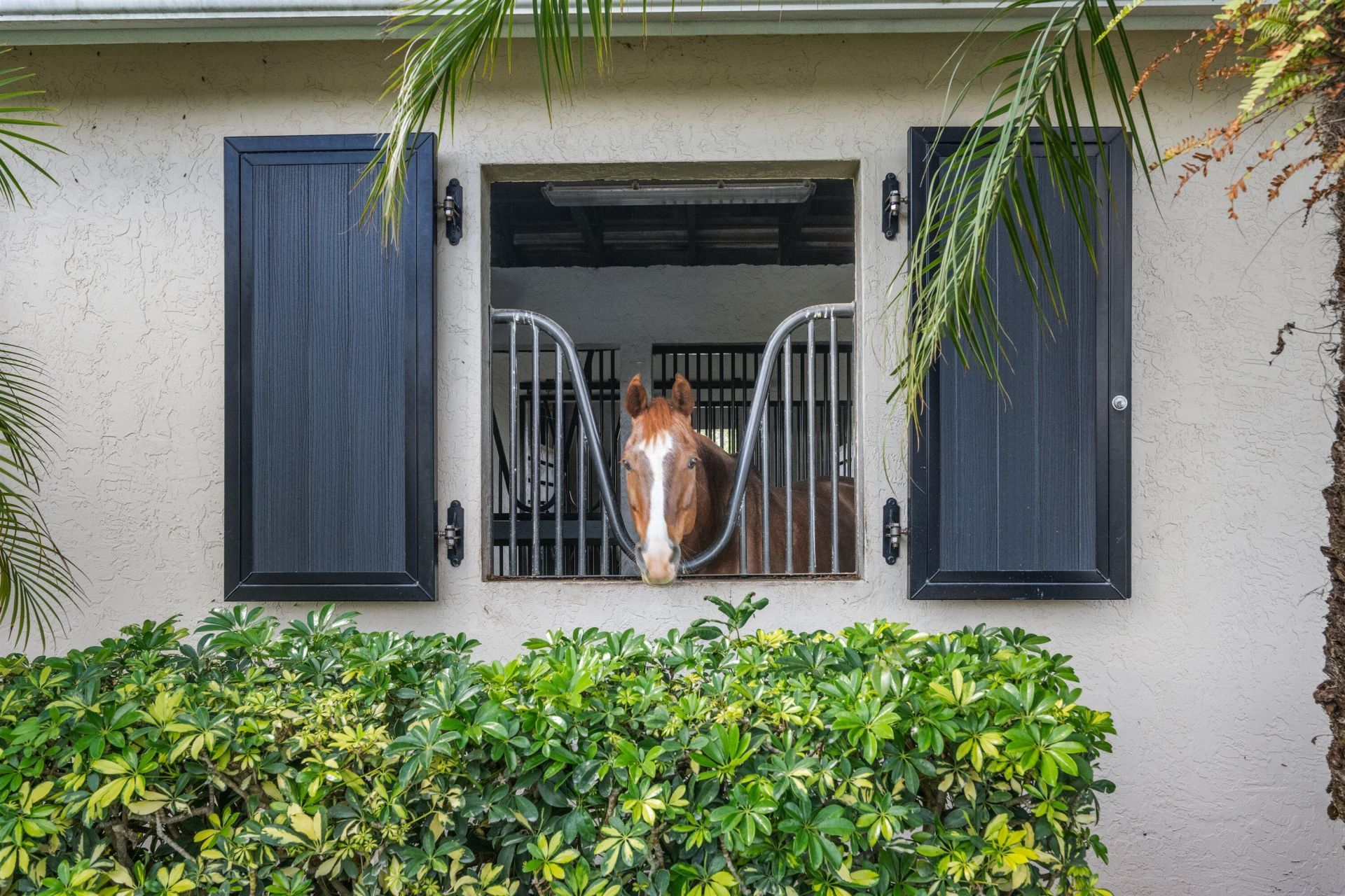 15380 46th Lane S, Wellington, FL 33414 Photo