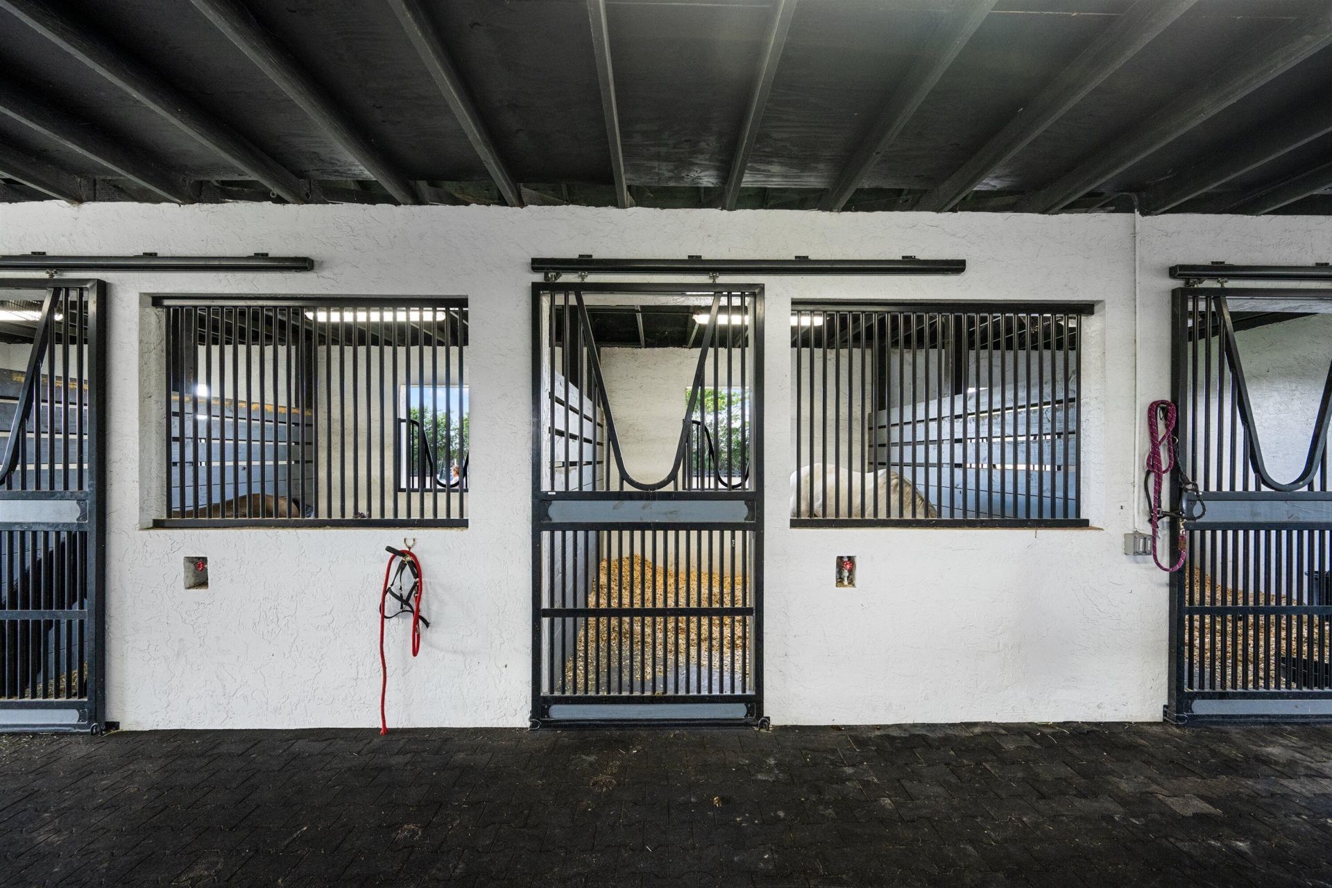 15380 46th Lane S, Wellington, FL 33414 Photo