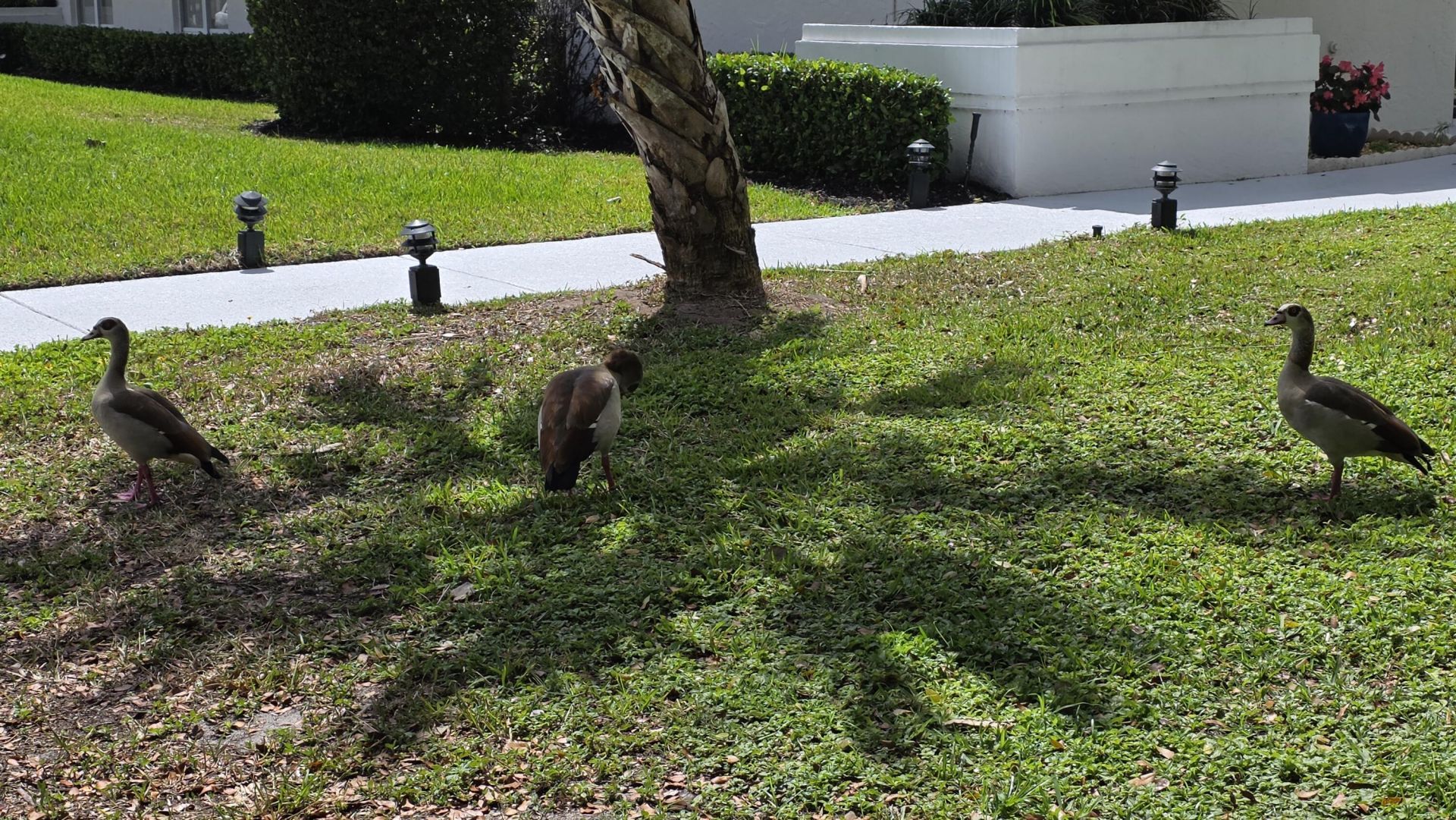 7769 Mansfield Hollow Road, Delray Beach, FL 33446 Photo