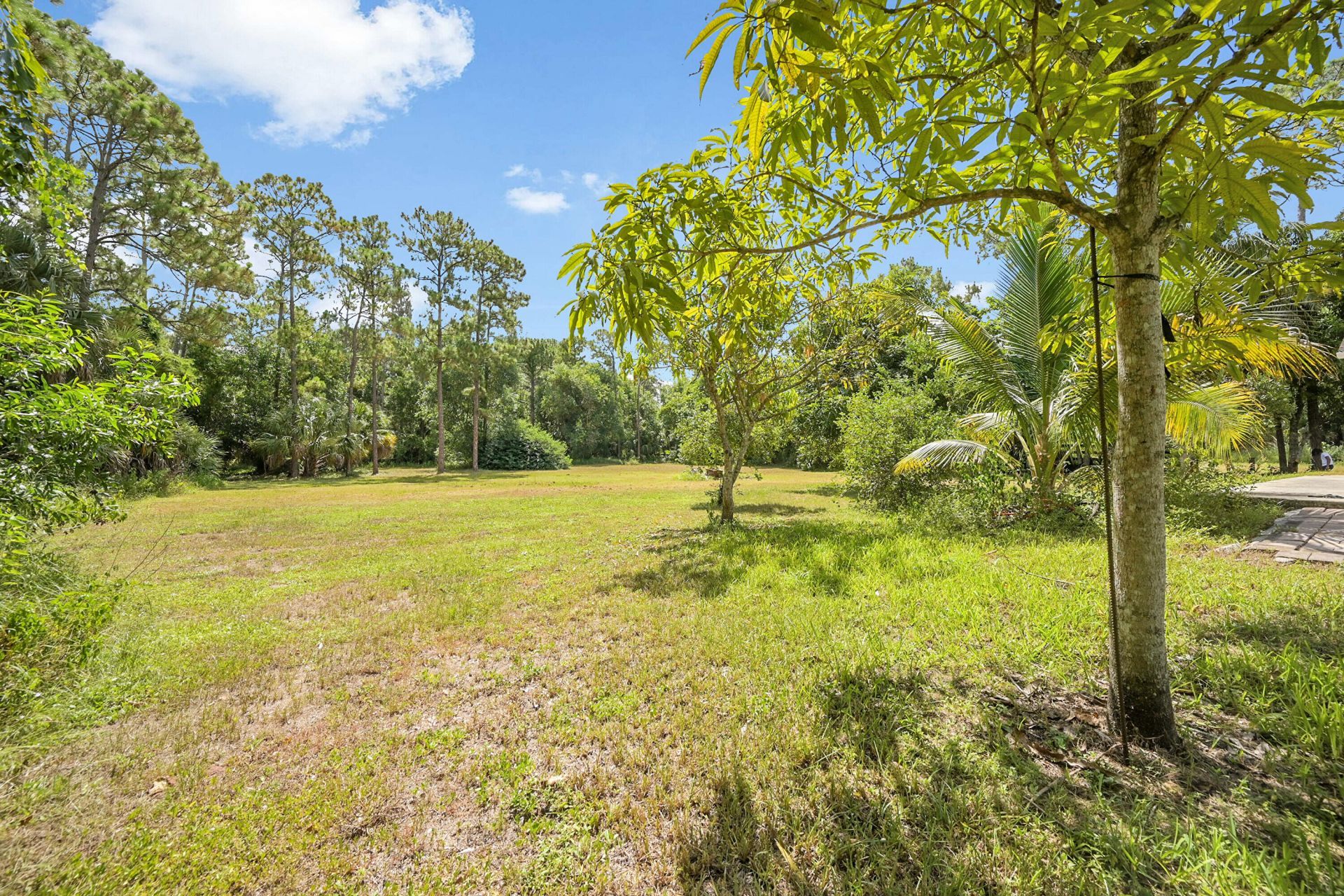 2376 Fawn, Loxahatchee, FL 33470 Photo