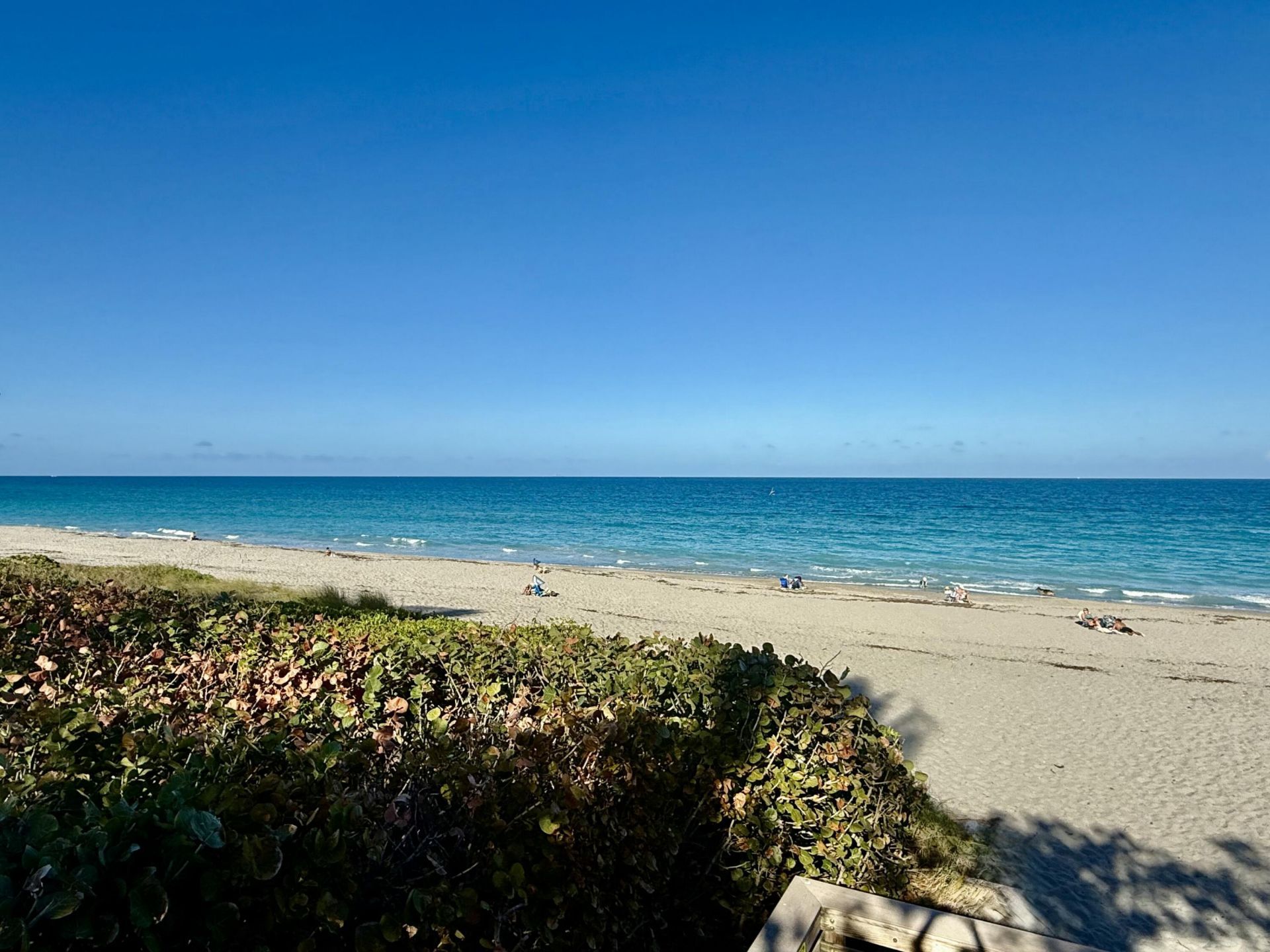 915 Bay Colony Drive S, Juno Beach, FL 33408 Photo