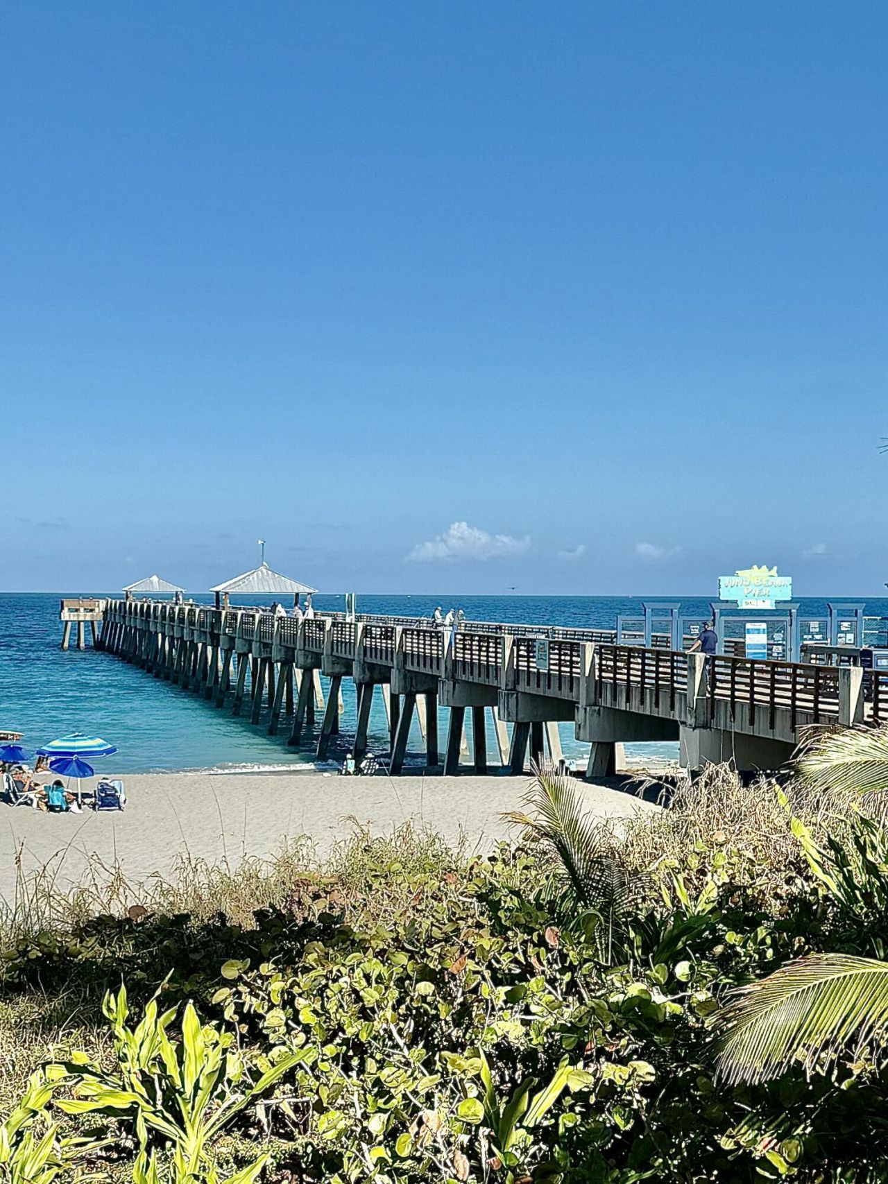 915 Bay Colony Drive S, Juno Beach, FL 33408 Photo