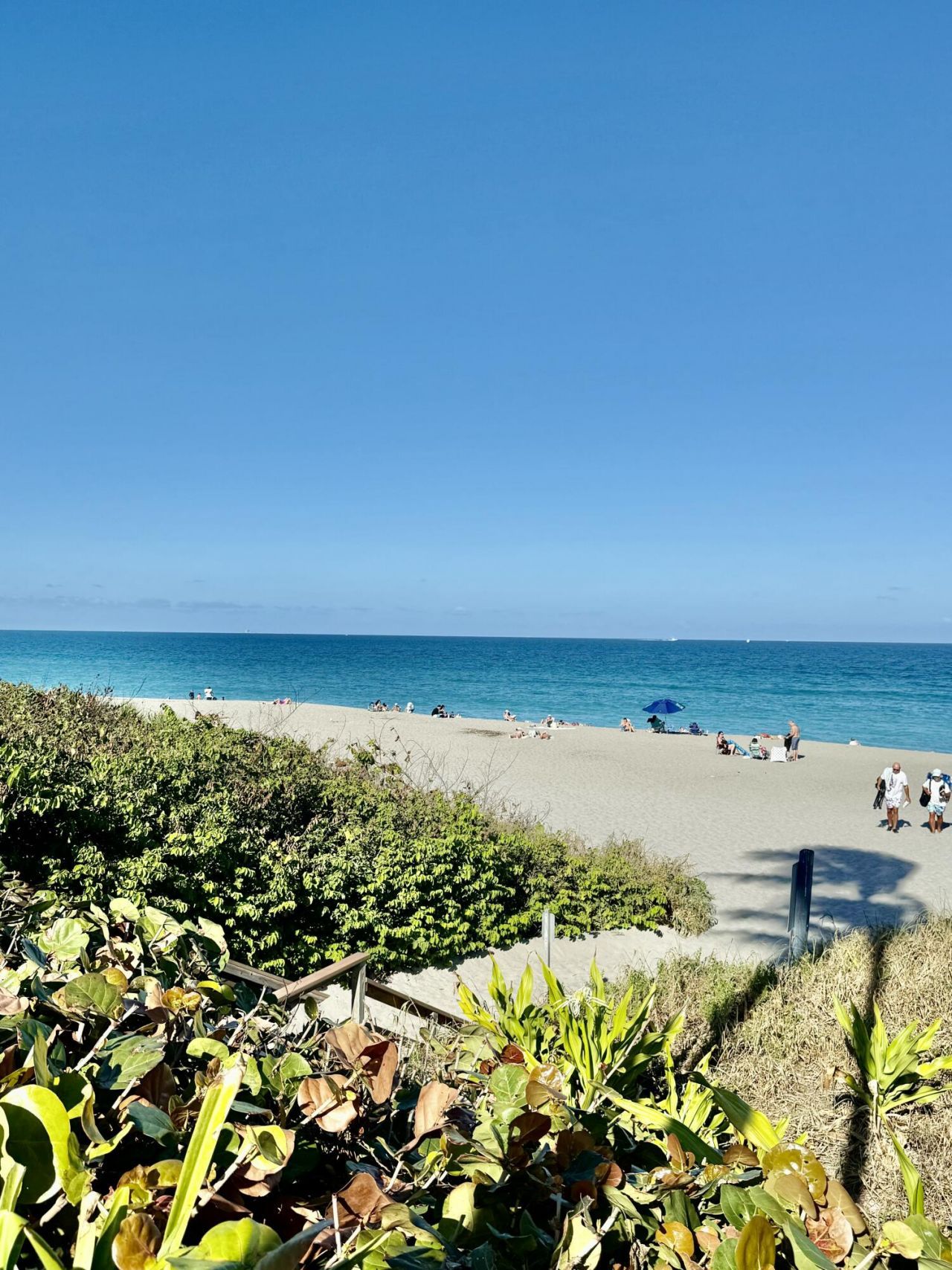 915 Bay Colony Drive S, Juno Beach, FL 33408 Photo