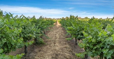 18050 N Tretheway Rd, Lockeford, CA 95237 Photo