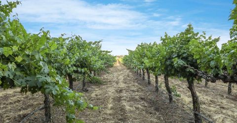 18050 N Tretheway Rd, Lockeford, CA 95237 Photo