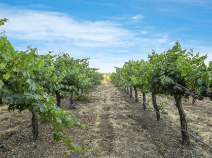 18050 N Tretheway Rd, Lockeford, CA 95237 Photo