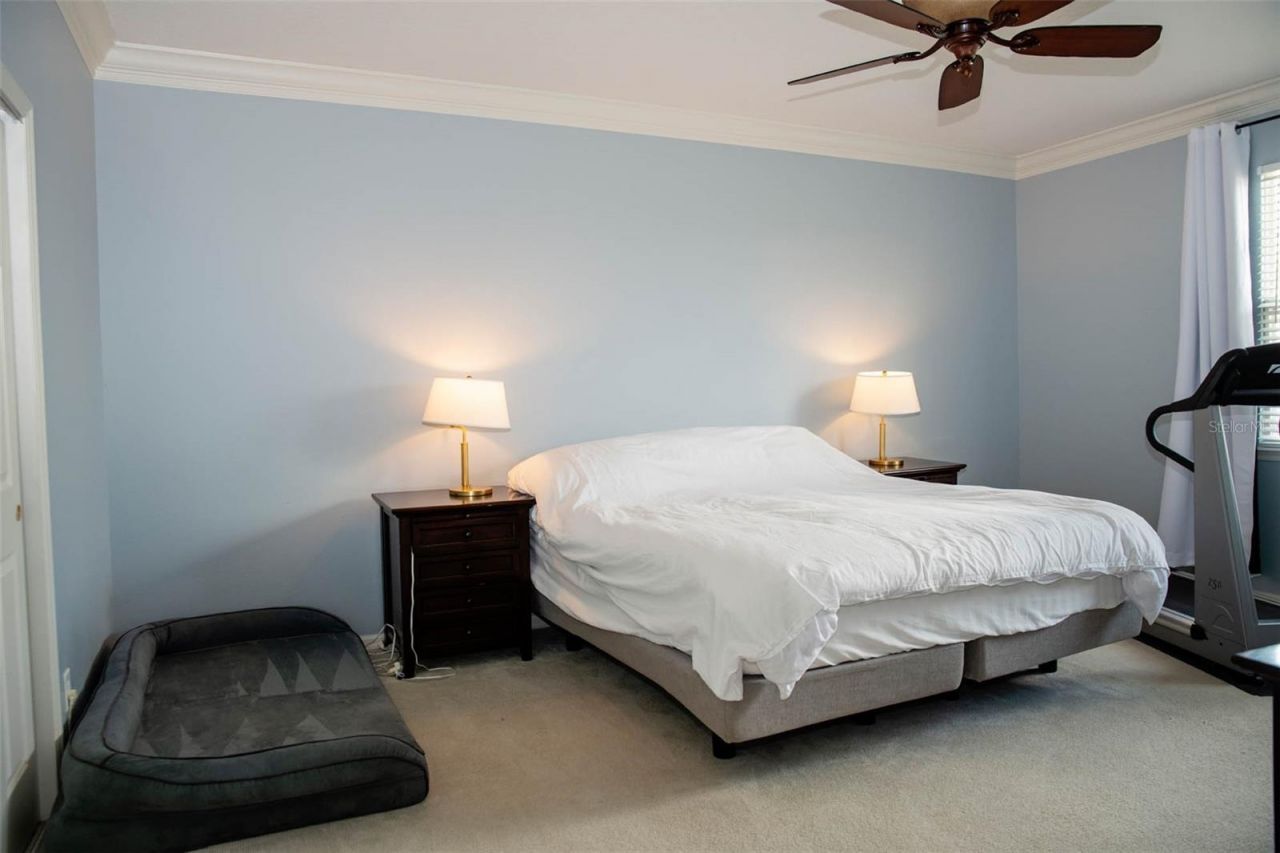 411 Sycamore Street , Celebration, FL 34747 Photo