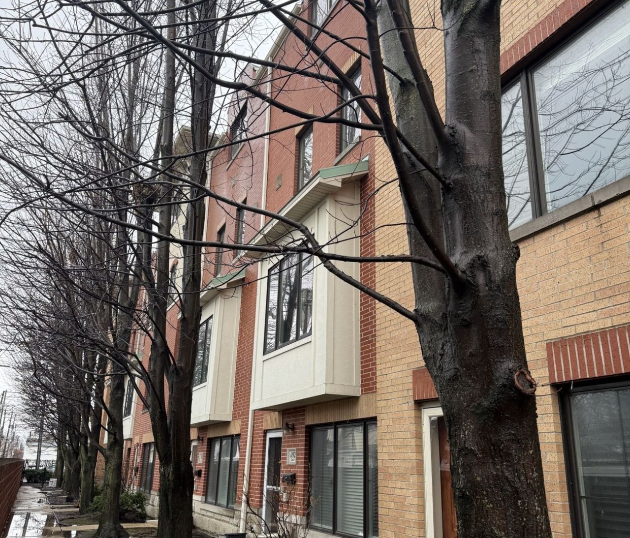 1192 Clarence Avenue , Unit 3, Oak Park, IL 60304 Main Photo