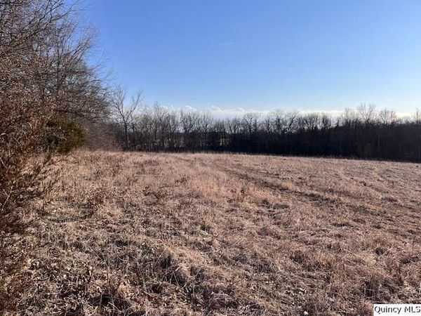 Sec 16 E 2150th Place, Liberty, IL 62347