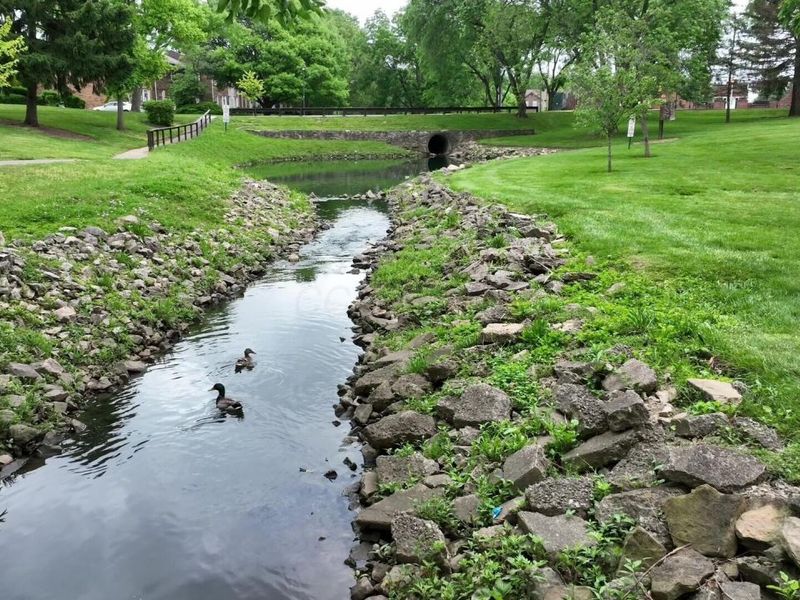 614 Dlyn Street, Columbus, OH 43228 Photo 39